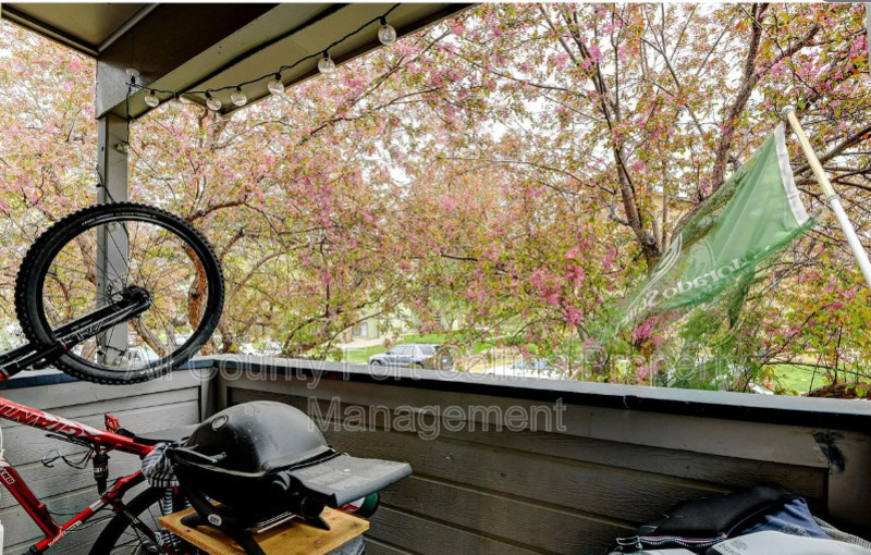 Main Rental Photo 14