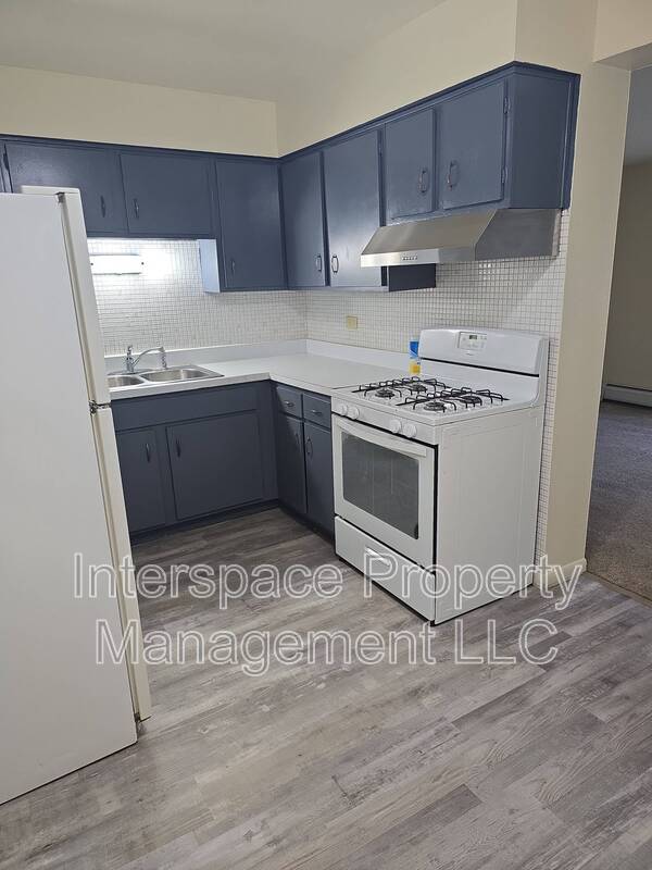 Chicago Ridge Condo: 9841 Harlem Avenue - 1C