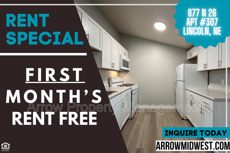 Lincoln Condo: 877 N 26