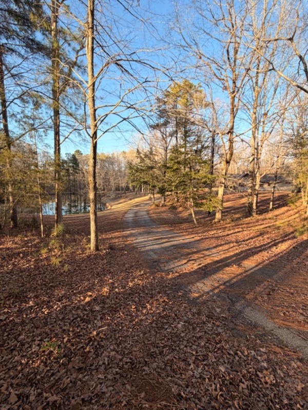 Blythewood House: 250 Running Deer Road