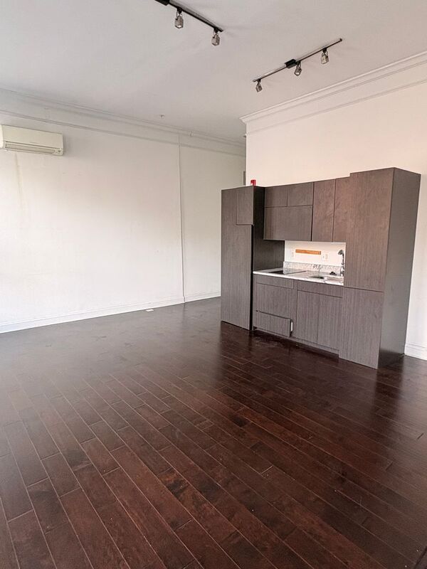 Baltimore Condo: 917 St. Paul St