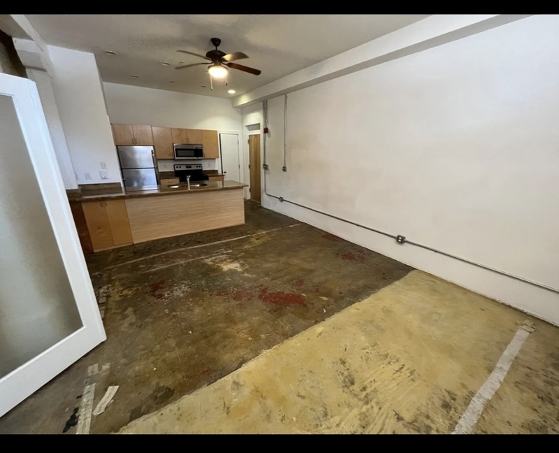 Petersburg Condo: 141 E Wythe st