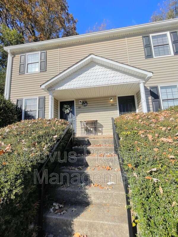 Carrollton Townhome: 763 South Street