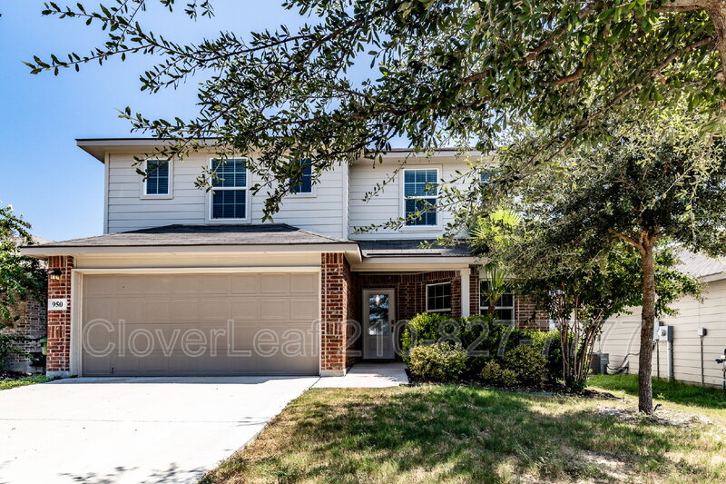San Antonio House: 950 Winged Scoter