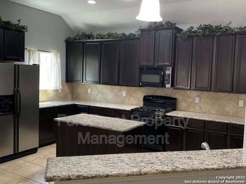 8710 Gelvani Grove  TX 78015 - Photo 3