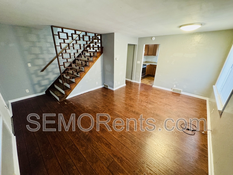 Cape Girardeau House: 301 South Spring Street