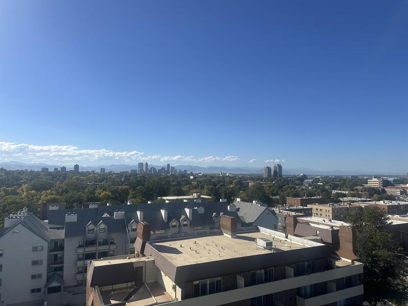 Denver Condo: 1155 Ash St