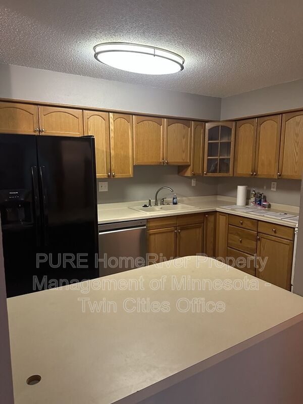 South Saint Paul Condo: 221 Grand Ave W
