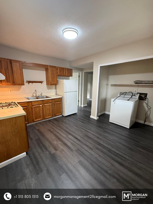 Oswego Condo: 51 W Albany St Lower