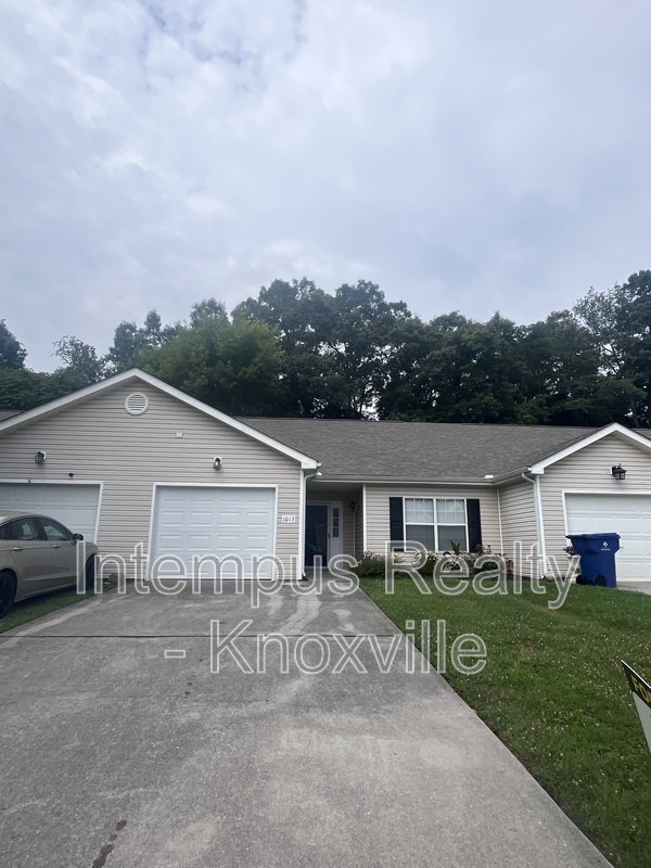 Knoxville Condo: 1013 Ashley Michelle Ct