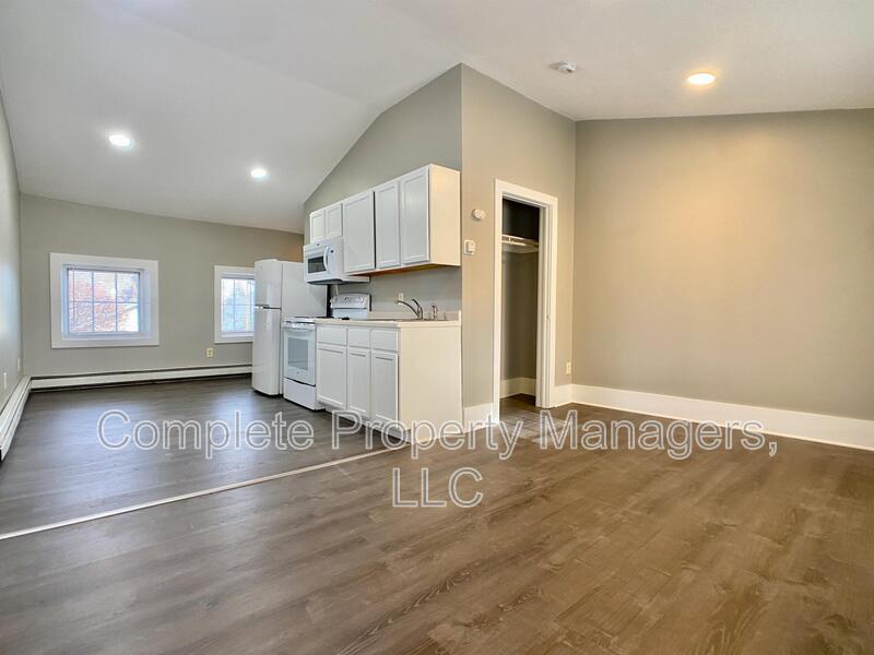 Saint Peter Condo: 820 South Minnesota Avenue - 4