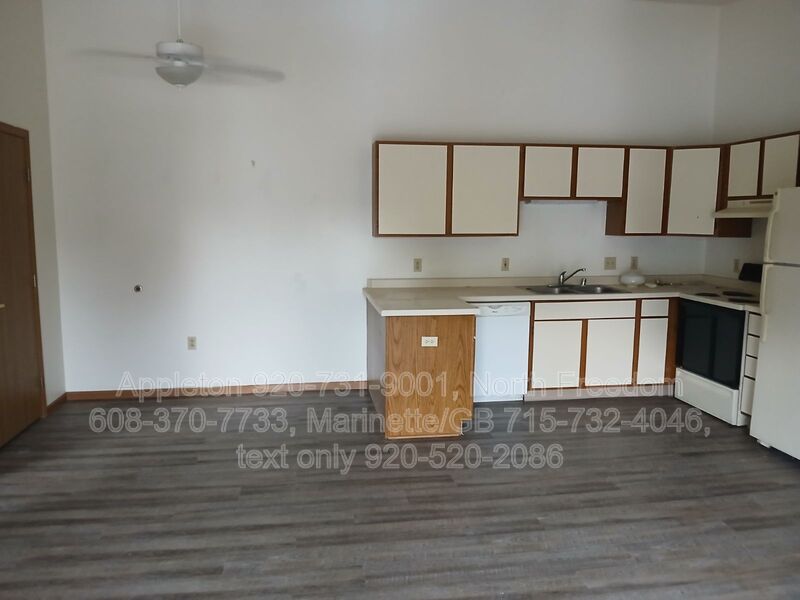 Marinette Condo: 907 Madison Ave. #3