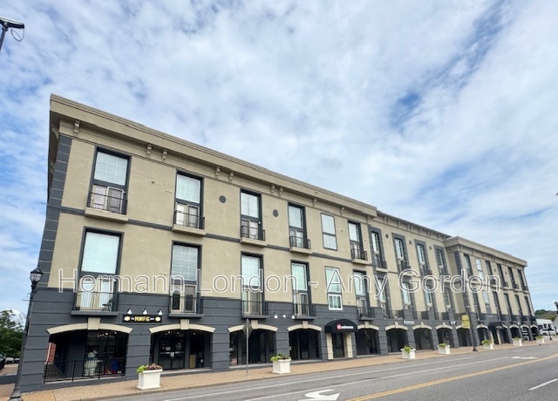 Kirkwood Condo: 200 S Kirkwood