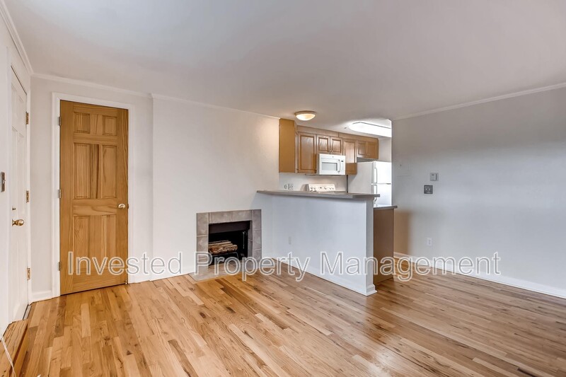 Denver Condo: 336 N Grant St