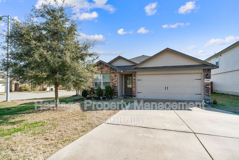 San Antonio House: 15502 Gray Catbird