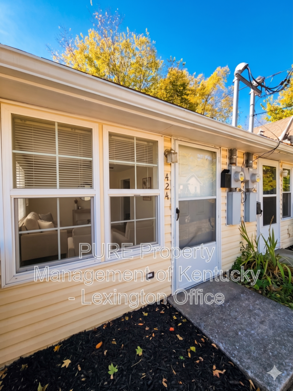 Lexington Condo: 424 E. Second Street