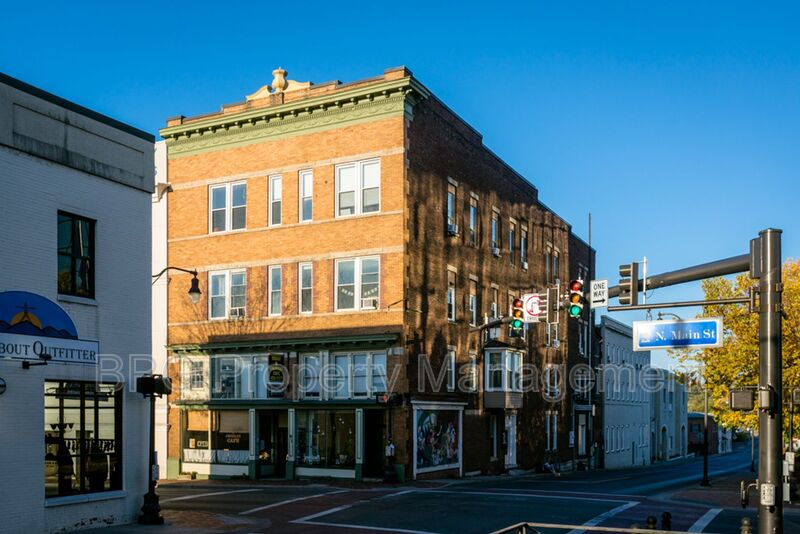 Harrisonburg Condo: 95 N. Main St.
