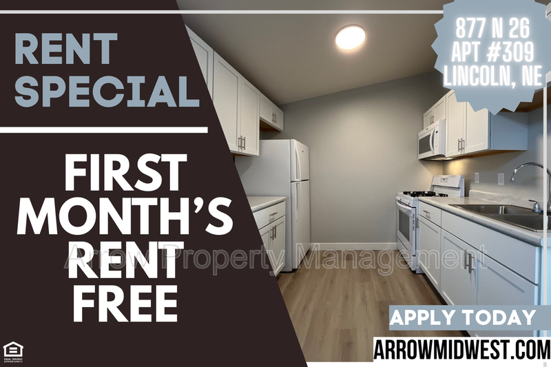 Lincoln Condo: 877 N 26
