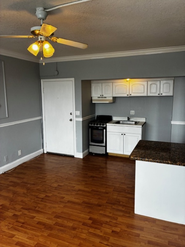 Jacksonville Condo: 311 West Ashley Street, unit 304 - .