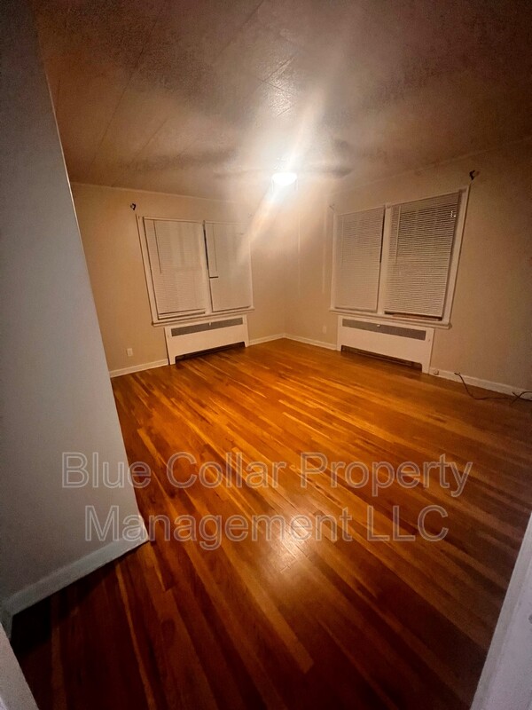 Anaconda Condo: 213 Locust Street - 1