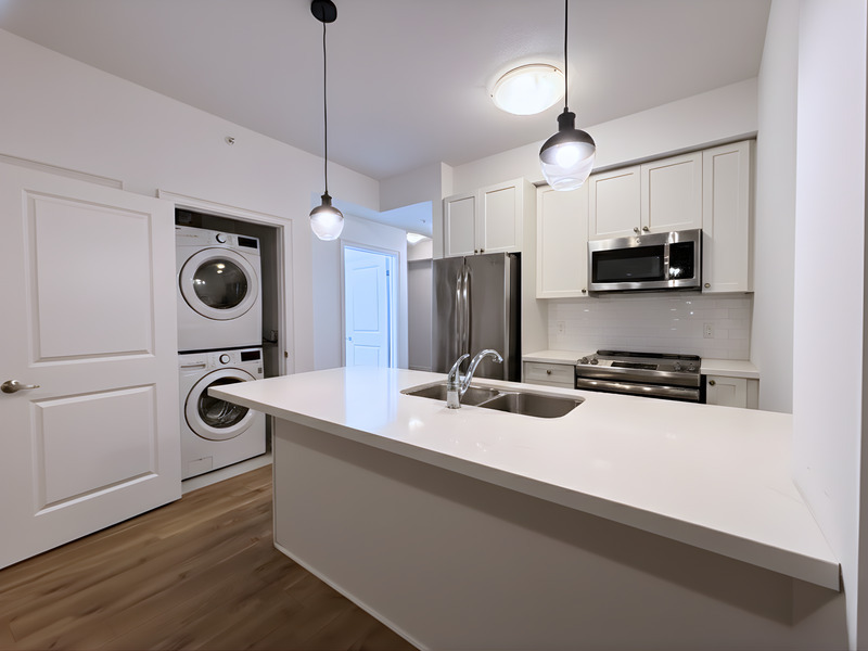 Hamilton Condo: 81 robinson st