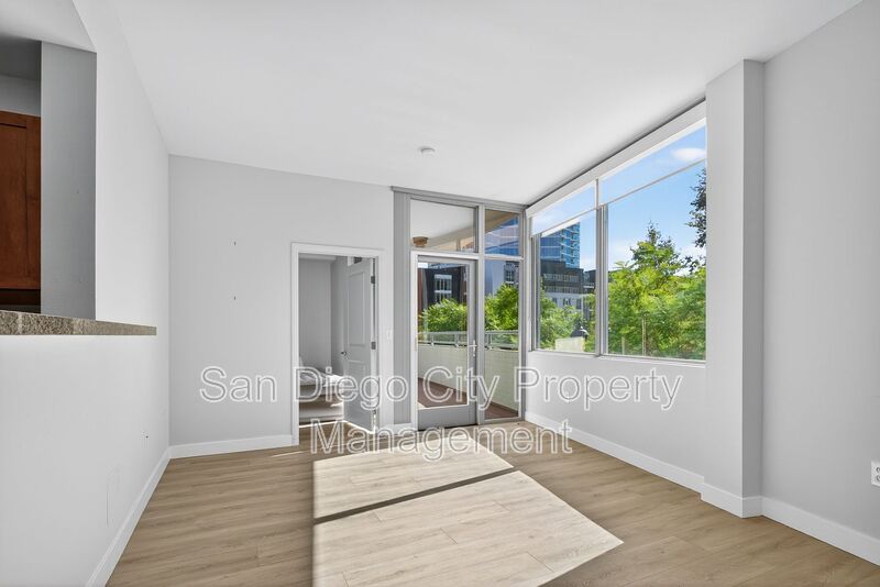 San Diego Condo: 253 10th Ave.