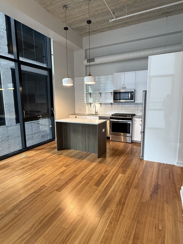 Chicago Condo: 700 N Lasalle