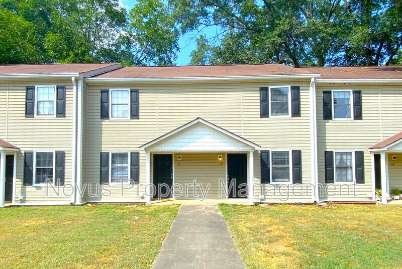 Carrollton Townhome: 711 South Street