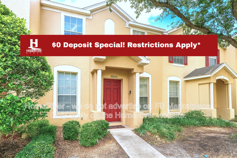 Wesley Chapel Townhome: 30145 Wellesley Way