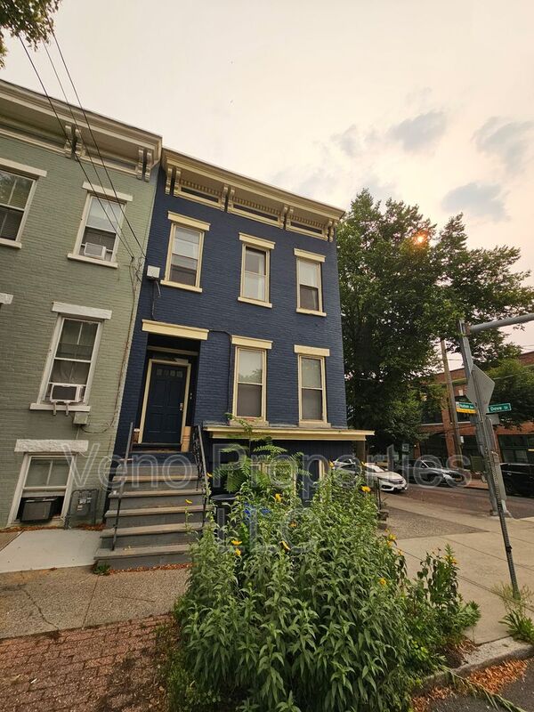 Albany House: 293 Hudson Avenue
