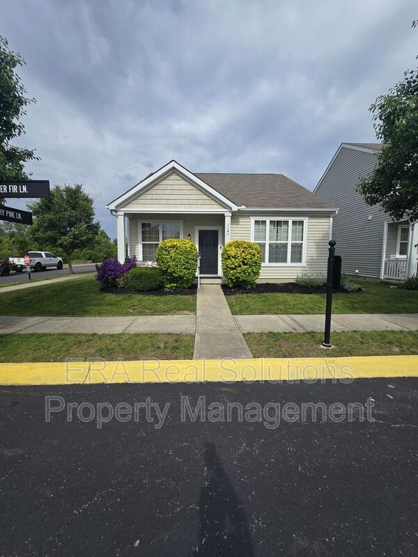 Grove City House: 2577 Silver Fir Lane