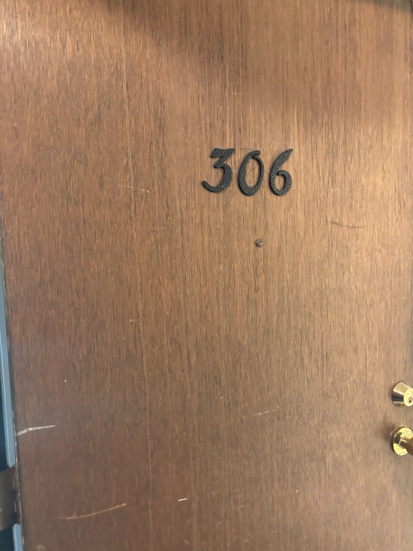 Madison Condo: 134 E Johnson - Unit 306