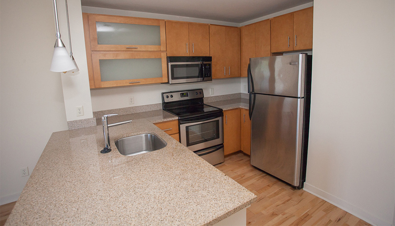 Harrisonburg Condo: 242 East Water Street Suite 119