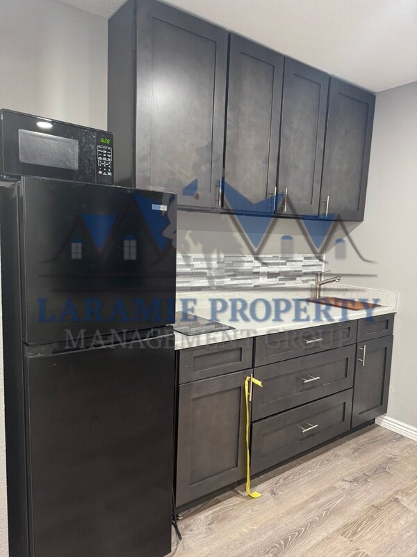 Laramie Condo: 165 N 3rd St