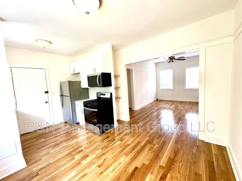 Chicago Condo: 1065 W. Dakin