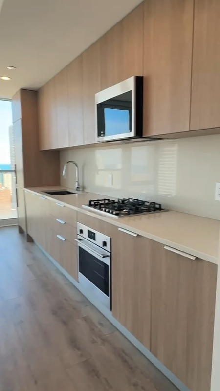 Chicago Condo: 220 W Hill St