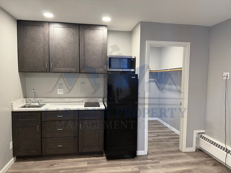 Laramie Condo: 165 N 3rd St