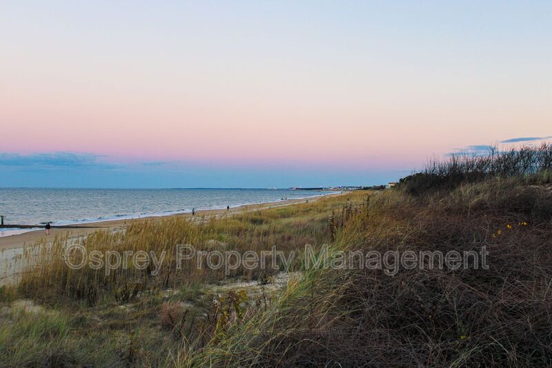 Experience the beauty of the Chesapeake Bay!  