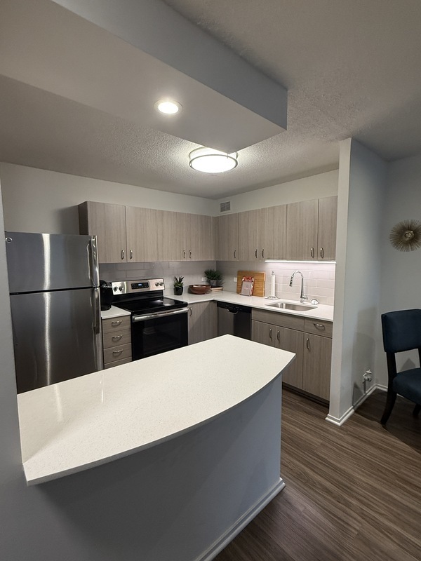 Chicago Condo: 1135 N Dearborn St