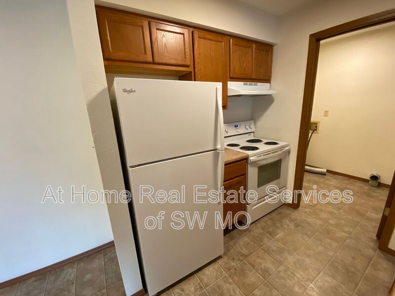Ozark Condo: 726 E Bain