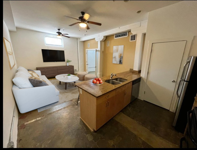 Petersburg Condo: 141 E Wythe st