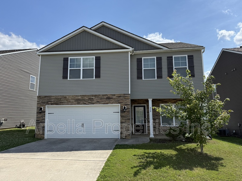 Johnson City House: 479 Brinkleys Way