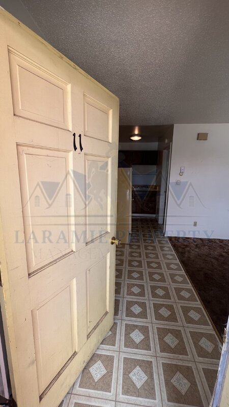 Laramie Condo: 702 Downey St