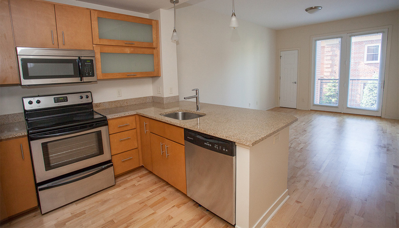 Harrisonburg Condo: 238 East Water Street Suite 102
