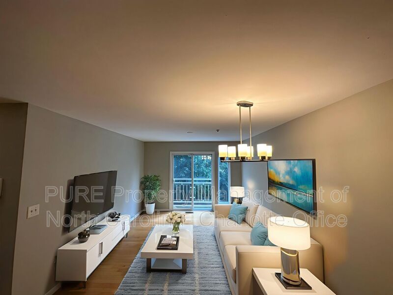 Charlotte Condo: 3911 Picasso Court