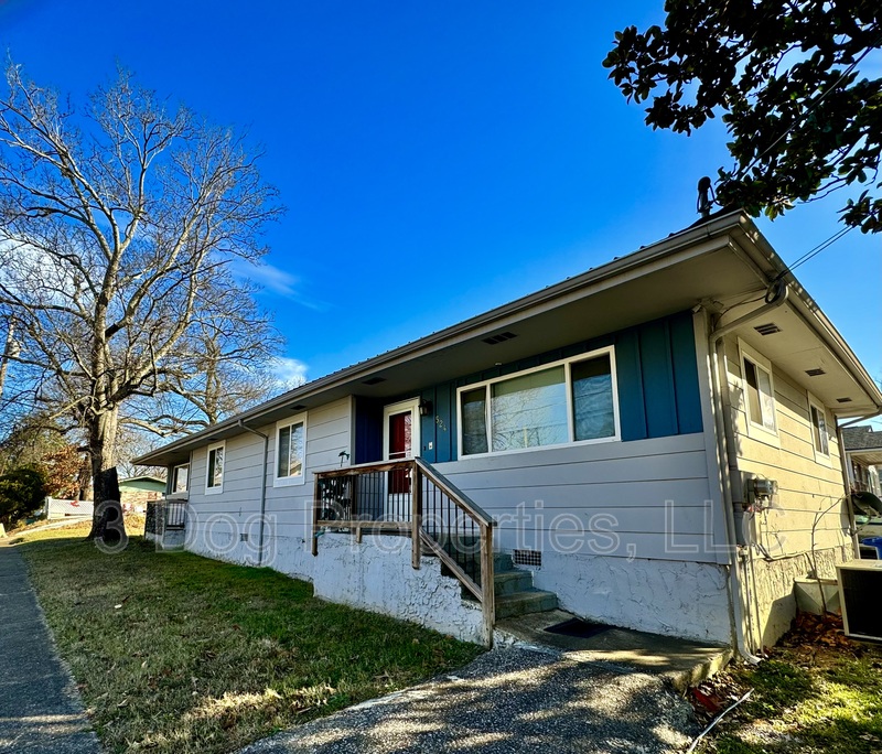 Chattanooga Condo: 524 South Holly Street - 1