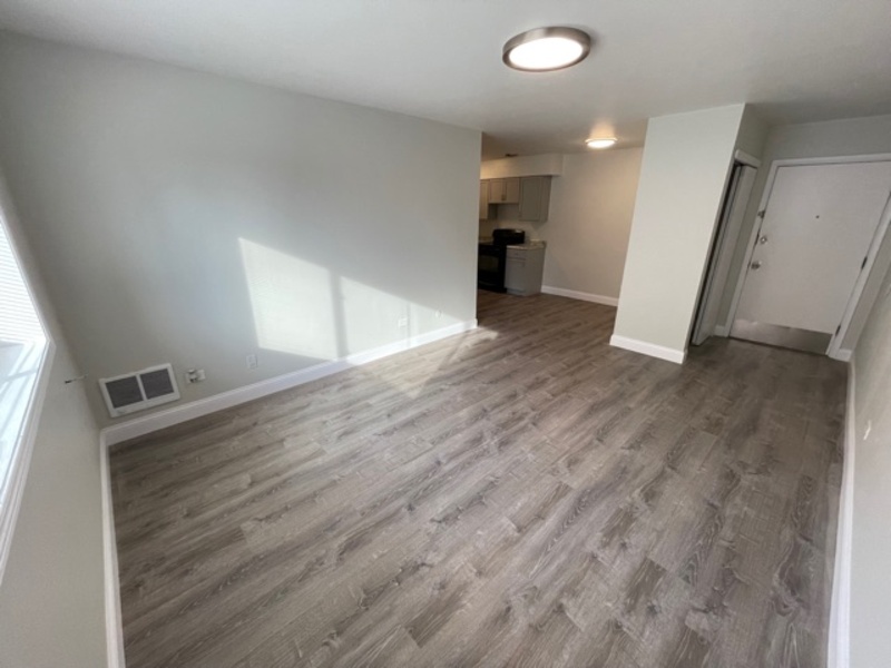 Wheeling Condo: 515 S. Milwaukee Avenue - 515-04