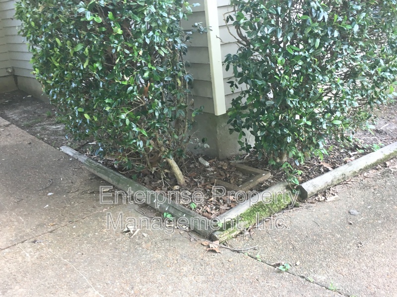 Photo 3 of 7019 Shadow Oaks Dr