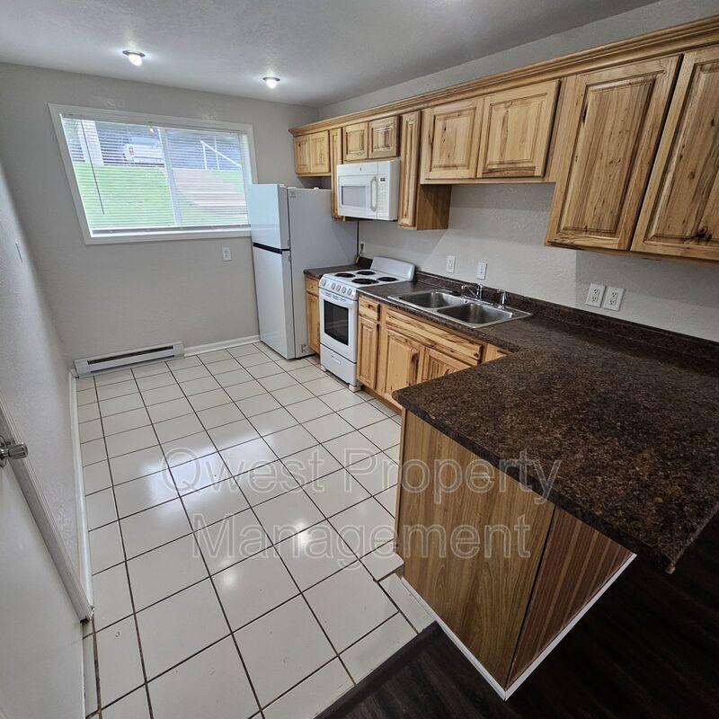 Hastings Condo: 409 E Woodlawn Ave