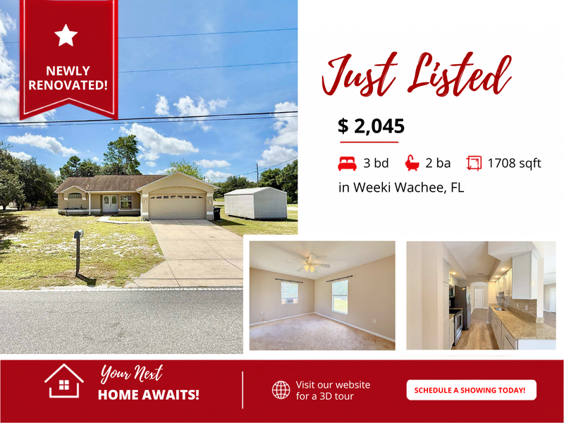 Weeki Wachee House: 10300 Noddy Tern Road
